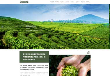 清新自然风格外贸网站色彩搭配指南