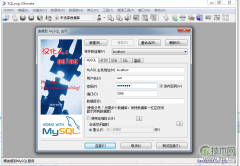 SQLyog使用教程与远程数据库管理指南