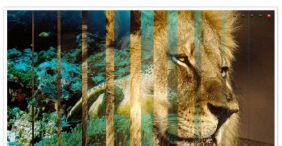 网站ICP备案加急通道实操指南 - 推荐阅读文章