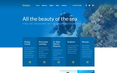 高效推广策略助力网站潜力释放｜全攻略 - 推荐阅读文章