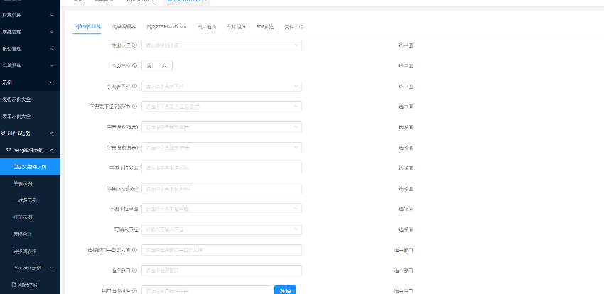 JeecgBoot Vue3开发实践|企业级前端模块构建全攻略(图2) 丰富示例