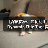 【深度揭秘:如何利用Dynamic Title Tags实现个性化内容优化】 【深度揭秘:如何利用Dynamic Title Tags实现个性化内容优化】
