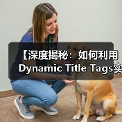 【深度揭秘:如何利用Dynamic Title Tags实现个性化内容优化】 【深度揭秘:如何利用Dynamic Title Tags实现个性化内容优化】
