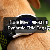 【深度揭秘:如何利用Dynamic Title Tags实现个性化内容优化】 【深度揭秘:如何利用Dynamic Title Tags实现个性化内容优化】