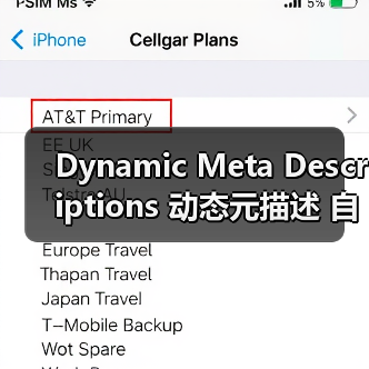 Dynamic Meta Descriptions 动态元描述 自动生成 吸引点击 Dynamic Meta Descriptions 动态元描述 自动生成 吸引点击