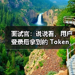 面试官:说说看,用户登录后拿到的 Token,你应该怎么存?存哪里? 面试官:说说看,用户登录后拿到的 Token,你应该怎么存?存哪里?
