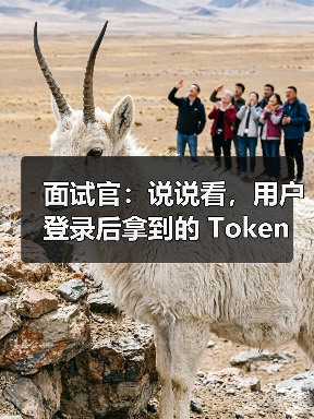 用户登录Token存储方式选择｜安全实践指南 - 推荐阅读文章