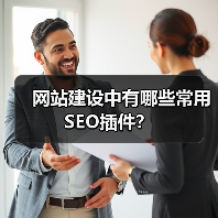 网站建设中有哪些常用SEO插件? 网站建设中有哪些常用SEO插件?