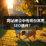 网站建设常用SEO插件推荐｜优化工具全攻略 - 推荐阅读文章