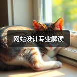 网站设计专业解读 网站设计专业解读