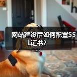 网站建设后如何配置SSL证书? 网站建设后如何配置SSL证书?