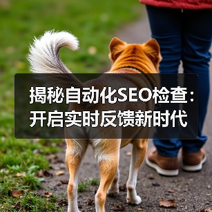 揭秘自动化SEO检查:开启实时反馈新时代(图2) 揭秘自动化SEO检查:开启实时反馈新时代(图2)