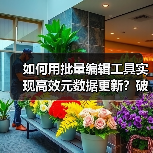 如何用批量编辑工具实现高效元数据更新?破解效率工具的秘密(图3) 如何用批量编辑工具实现高效元数据更新?破解效率工具的秘密(图3)