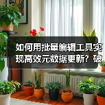 如何用批量编辑工具实现高效元数据更新?破解效率工具的秘密(图2) 如何用批量编辑工具实现高效元数据更新?破解效率工具的秘密(图2)