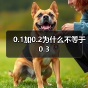 0.1加0.2为什么不等于0.3(图2) 0.1加0.2为什么不等于0.3(图2)