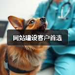网站建设客户首选(图2) 网站建设客户首选(图2)