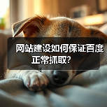 网站建设如何保证百度正常抓取?(图4) 网站建设如何保证百度正常抓取?(图4)