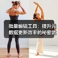 批量编辑工具:提升元数据更新效率的秘密武器(图4) 批量编辑工具:提升元数据更新效率的秘密武器(图4)