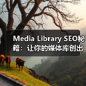 Media Library SEO秘籍：让你的媒体库创出新高（图3）
