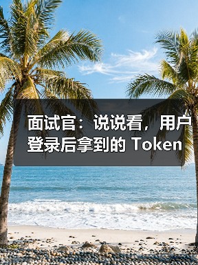 面试官:说说看,用户登录后拿到的 Token,你应该怎么存?存哪里?(图2) 面试官:说说看,用户登录后拿到的 Token,你应该怎么存?存哪里?(图2)