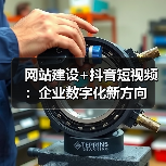 企业数字化转型：网站与抖音短视频融合策略 - 推荐阅读文章