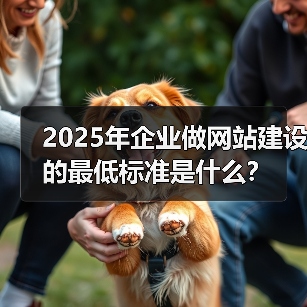 企业网站建设标准2025｜必备要素与优化技巧 - 推荐阅读文章