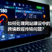 如何处理网站建设中的跨境数据传输问题?(图4) 如何处理网站建设中的跨境数据传输问题?(图4)