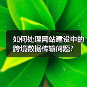 如何处理网站建设中的跨境数据传输问题?(图3) 如何处理网站建设中的跨境数据传输问题?(图3)