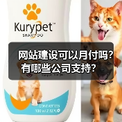 网站建设月付模式解析｜公司推荐与优缺点分析 - 推荐阅读文章