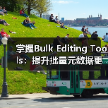 掌握Bulk Editing Tools:提升批量元数据更新的效率秘密(图1) 掌握Bulk Editing Tools:提升批量元数据更新的效率秘密(图1)