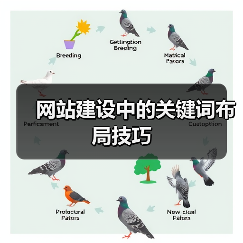 网站建设关键词布局技巧｜SEO优化全攻略 - 推荐阅读文章