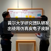 首尔大学研究团队研发出使用仿真皮电子皮肤的机器人,可自由移动(图2) 首尔大学研究团队研发出使用仿真皮电子皮肤的机器人,可自由移动(图2)