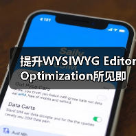 提升WYSIWYG Editor Optimization所见即所得编辑器优化 SEO功能的秘密(图1) 提升WYSIWYG Editor Optimization所见即所得编辑器优化 SEO功能的秘密(图1)