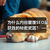 为什么内容管理SEO是获胜的秘密武器? —— 深度解析如何打造SEO友好的内容策略(图1) 为什么内容管理SEO是获胜的秘密武器? —— 深度解析如何打造SEO友好的内容策略(图1)