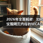 网页内容WCAG合规指南｜实现真正包容性设计 - 推荐阅读文章