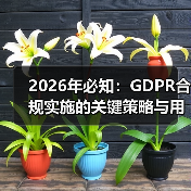 2026年必知:GDPR合规实施的关键策略与用户权益保护(图2) 2026年必知:GDPR合规实施的关键策略与用户权益保护(图2)