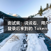 面试官:说说看,用户登录后拿到的 Token,你应该怎么存?存哪里?(图4) 面试官:说说看,用户登录后拿到的 Token,你应该怎么存?存哪里?(图4)