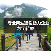 专业网站建设助力企业数字转型(图4) 专业网站建设助力企业数字转型(图4)