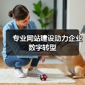 专业网站建设助力企业数字转型｜网站规划全攻略 - 推荐阅读文章