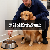 网站建设实战策略(图3) 网站建设实战策略(图3)