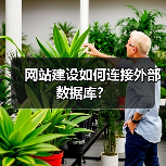 网站建设如何连接外部数据库?(图1) 网站建设如何连接外部数据库?(图1)