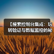 【搜索控制台集成:玩转验证与数据监控的秘密武器】(图4) 【搜索控制台集成:玩转验证与数据监控的秘密武器】(图4)
