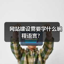 网站建设需要学什么编程语言?(图2) 网站建设需要学什么编程语言?(图2)