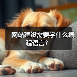 网站建设编程语言选择全攻略 - 推荐阅读文章