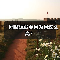 网站建设费用为何这么高?(图3) 网站建设费用为何这么高?(图3)