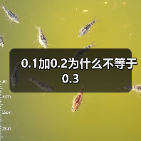 0.1加0.2为什么不等于0.3(图3) 0.1加0.2为什么不等于0.3(图3)