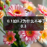 0.1加0.2为什么不等于0.3(图4) 0.1加0.2为什么不等于0.3(图4)