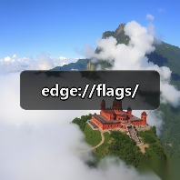 edge://flags/(图3) edge://flags/(图3)