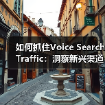 如何抓住Voice Search Traffic:洞察新兴渠道的趋势适应之道(图2) 如何抓住Voice Search Traffic:洞察新兴渠道的趋势适应之道(图2)