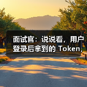 面试官:说说看,用户登录后拿到的 Token,你应该怎么存?存哪里?(图3) 面试官:说说看,用户登录后拿到的 Token,你应该怎么存?存哪里?(图3)